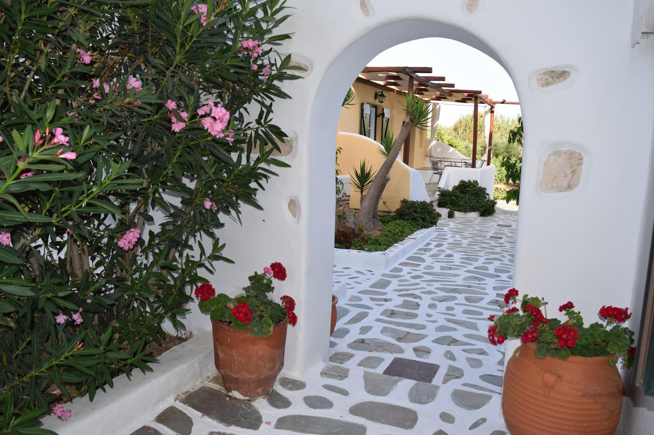 Tzane Studios & Apartments - Steps Away From Golden Beach Chrisi Akti  Eksteriør bilde
