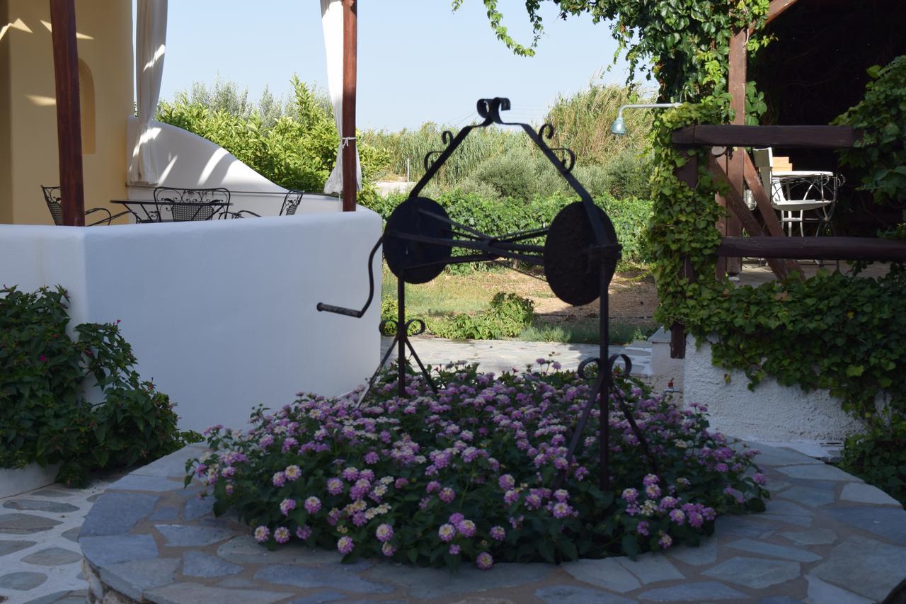 Tzane Studios & Apartments - Steps Away From Golden Beach Chrisi Akti  Eksteriør bilde